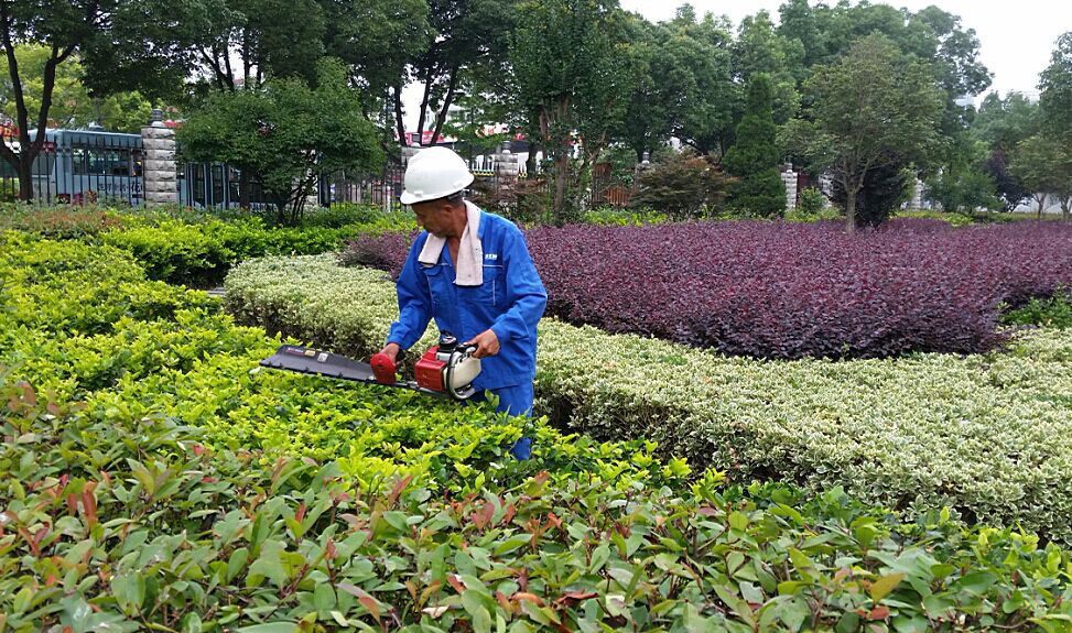 園林綠化工程養護