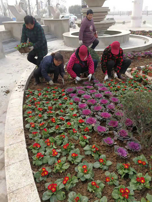 武漢私家花園設計施工