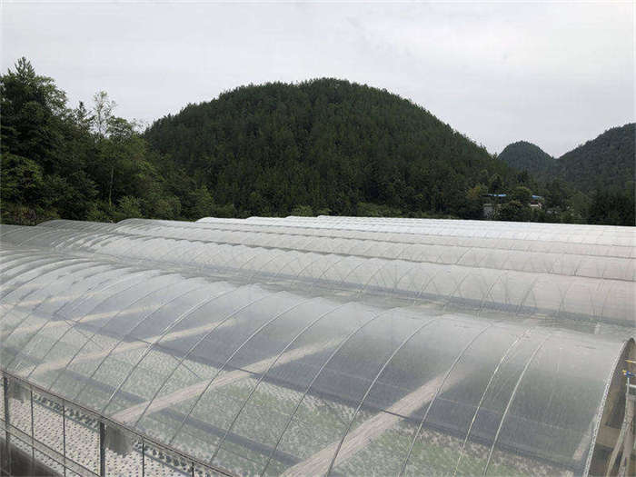 重庆温室大棚搭建